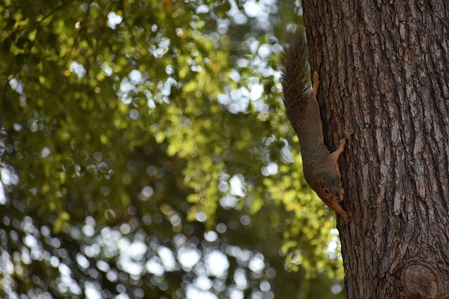 南京室内世锦赛男子60米栏决赛 刘俊茜获得季军.