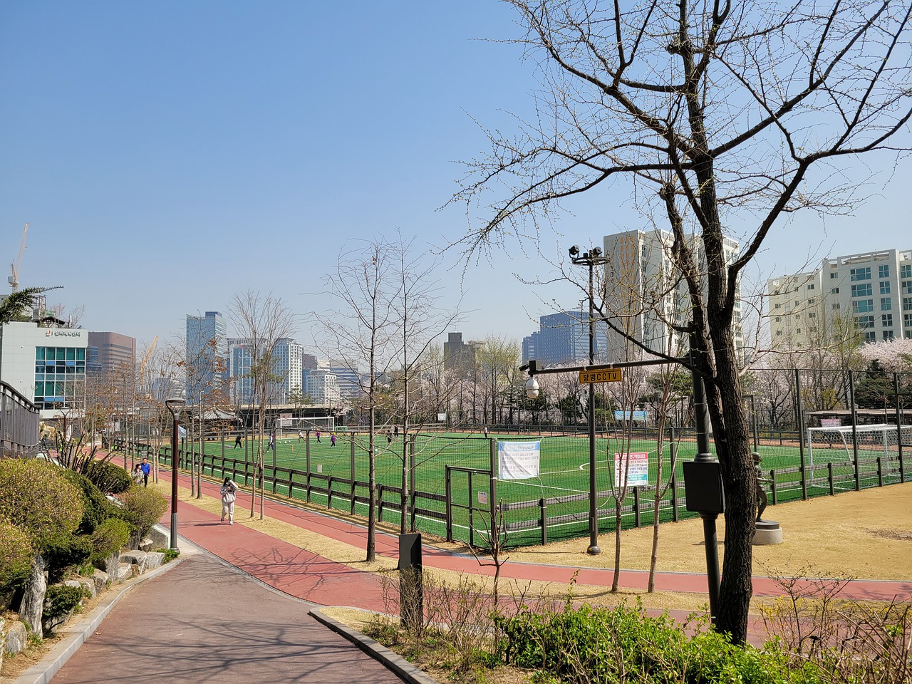 的球员恐怕 的球员恐怕