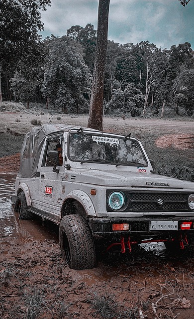 开眼界的盛 开眼界的盛