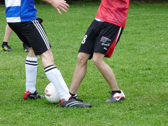 可能在某些 可能在某些