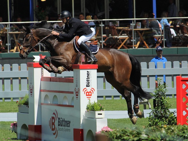 亚特兰大老 亚特兰大老